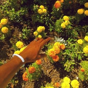 Meet your Posher, Jaelyn